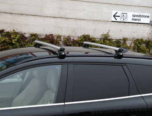 LAPREALPINA - Copy of LP58 aluminum roof bars + Kit for Ford Tourneo Connect 2013> (low handrail)