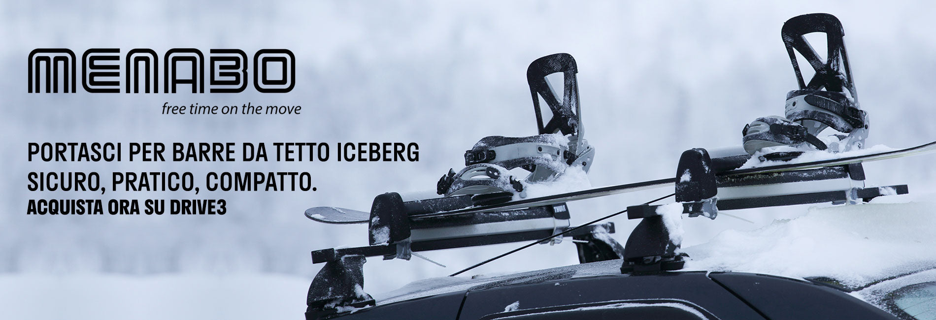 Banner portasci iceberg